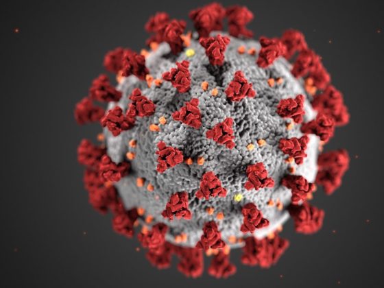 Podcast: Coronavirus Life: Will Things Be the Same Again?