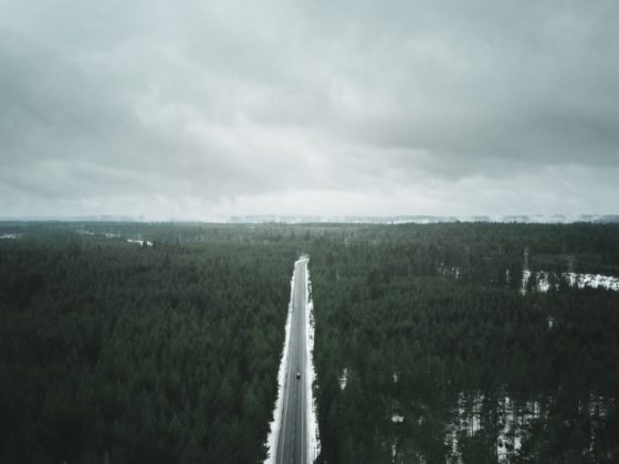 The Marketplace of Ideas and the Battle of Discourses