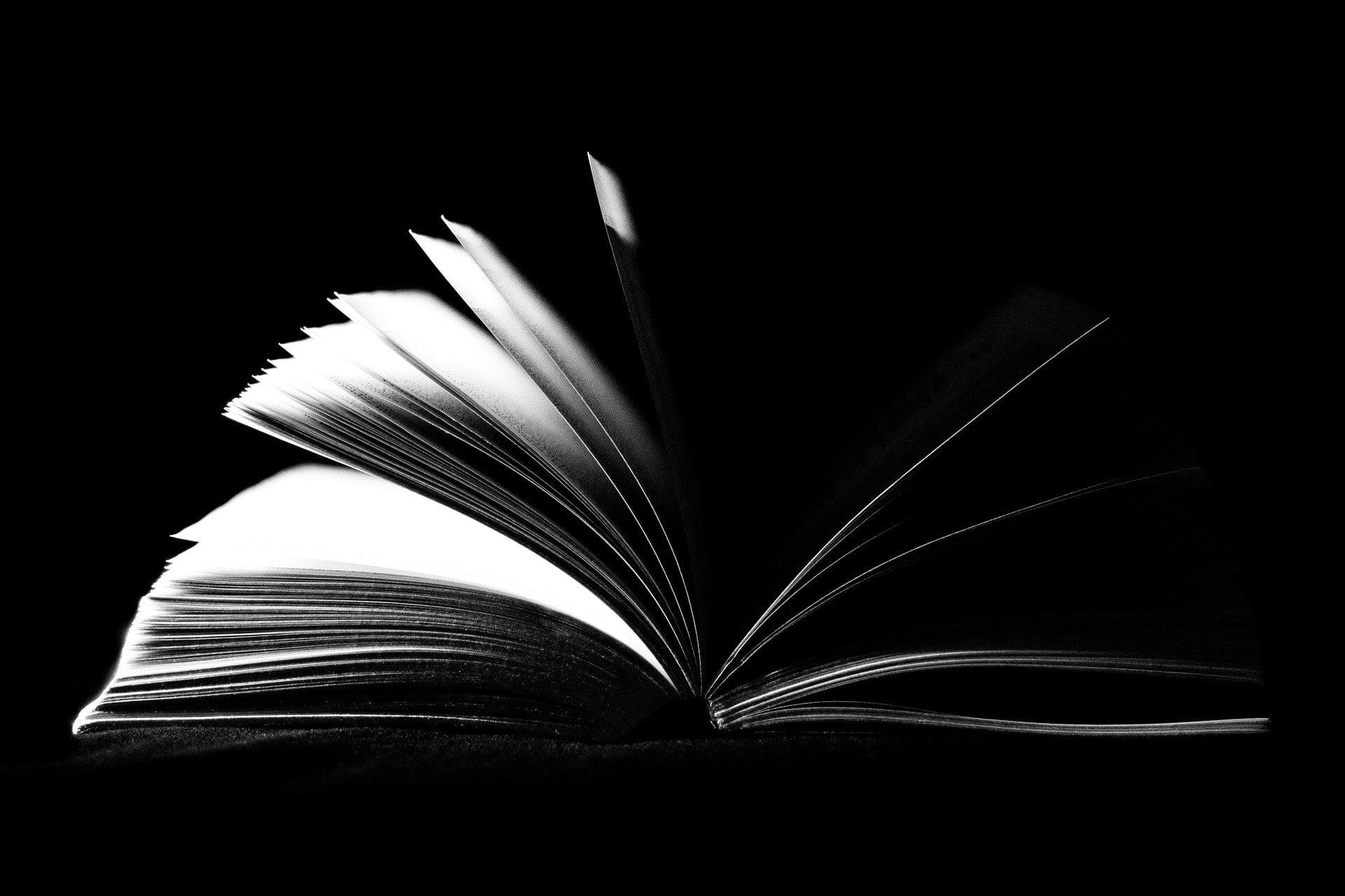How Critical Studies Led to Today's Turmoil