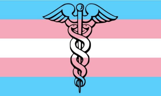 At What Cost? Trans Healthcare, Manipulated Data, and Self-Appointed Saviors