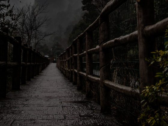 Chinese Inventions: The Compass, Gunpowder, ...and Critical Social Justice?