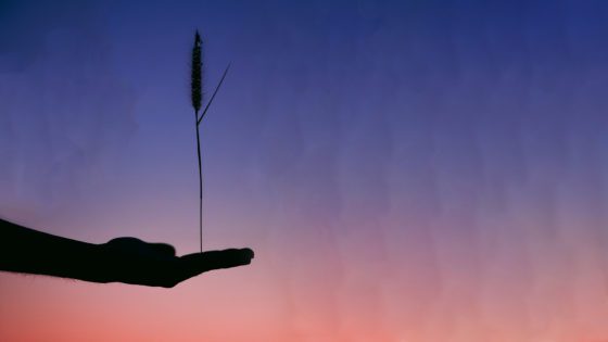 OnlySubs: Liberalism is an Unstable Societal Equilibrium