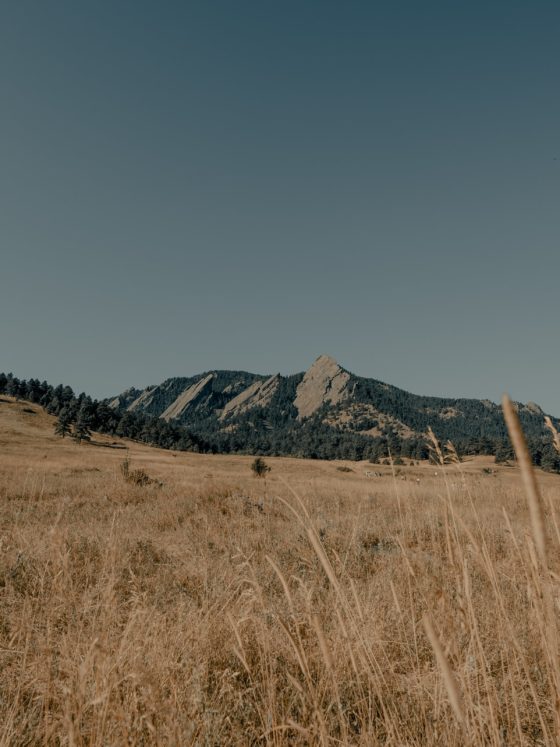 Land Acknowledgment Statements: The Cultural Violence of the Academic Elite