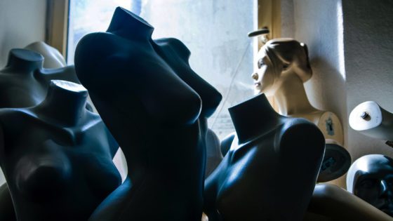 The Woke Goal: Everything Serves Theory