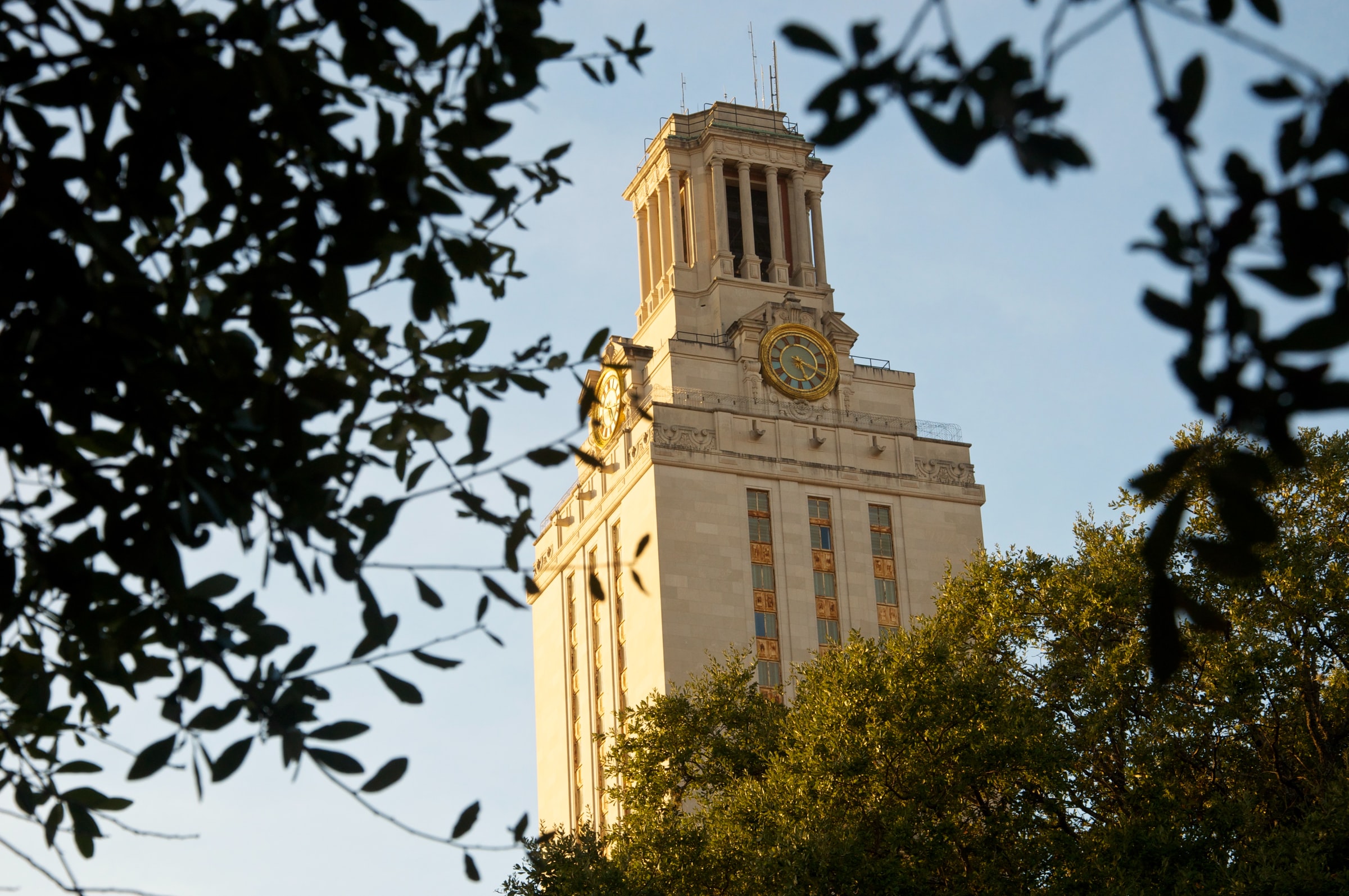 Equity and the Unmaking of UT Austin