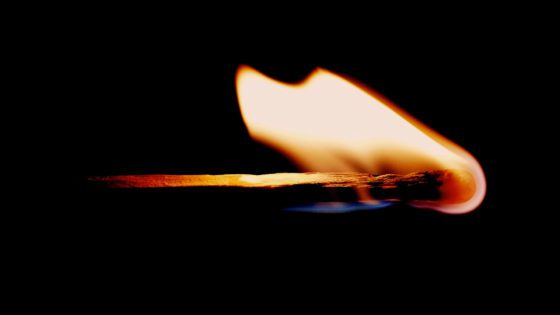 OnlySubs: Burning Through Trust