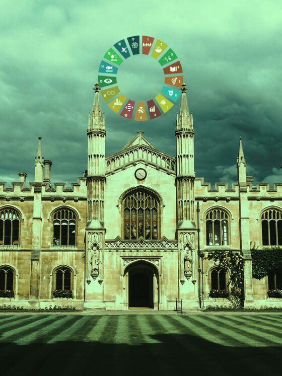 The Strange Death of the University, Part 4: The Strange Death of Knowledge